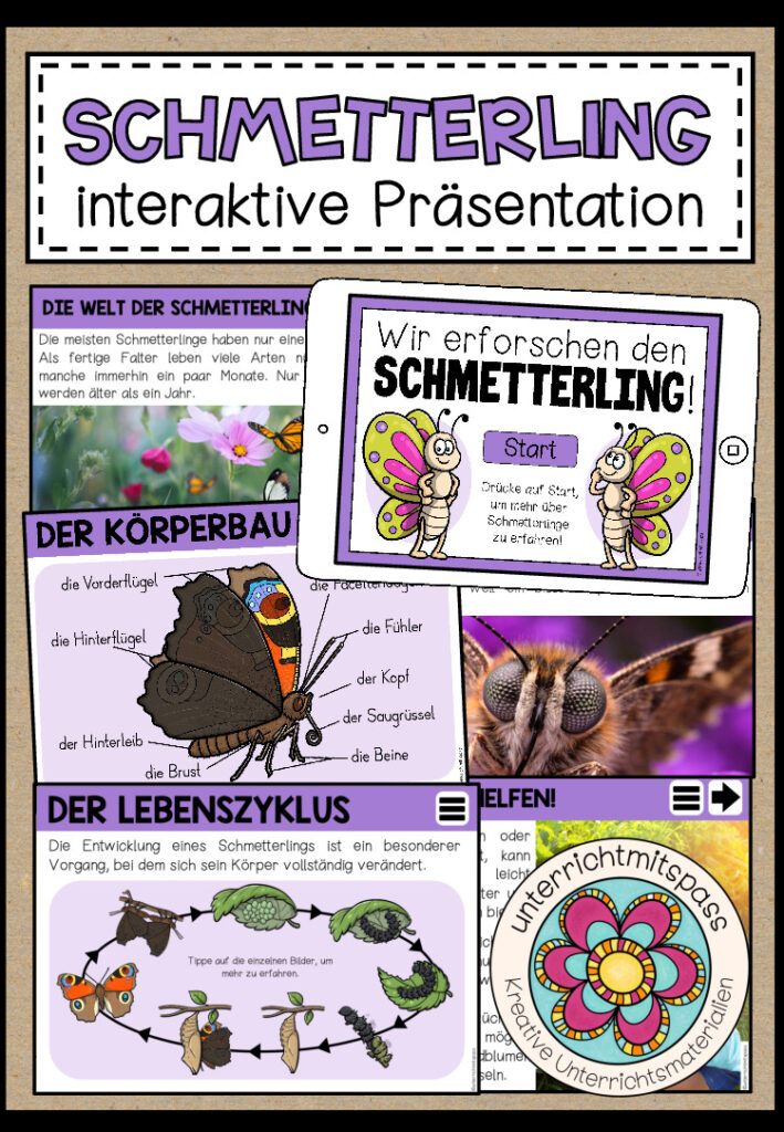 DER SCHMETTERLING – interaktive Präsentation