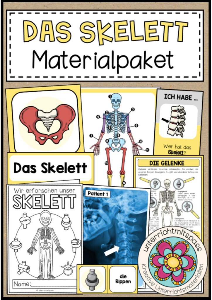 DAS SKELETT – Materialpaket