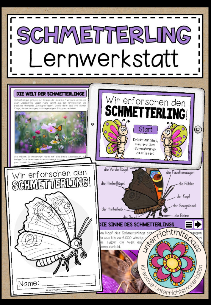 DER SCHMETTERLING – Lernwerkstatt