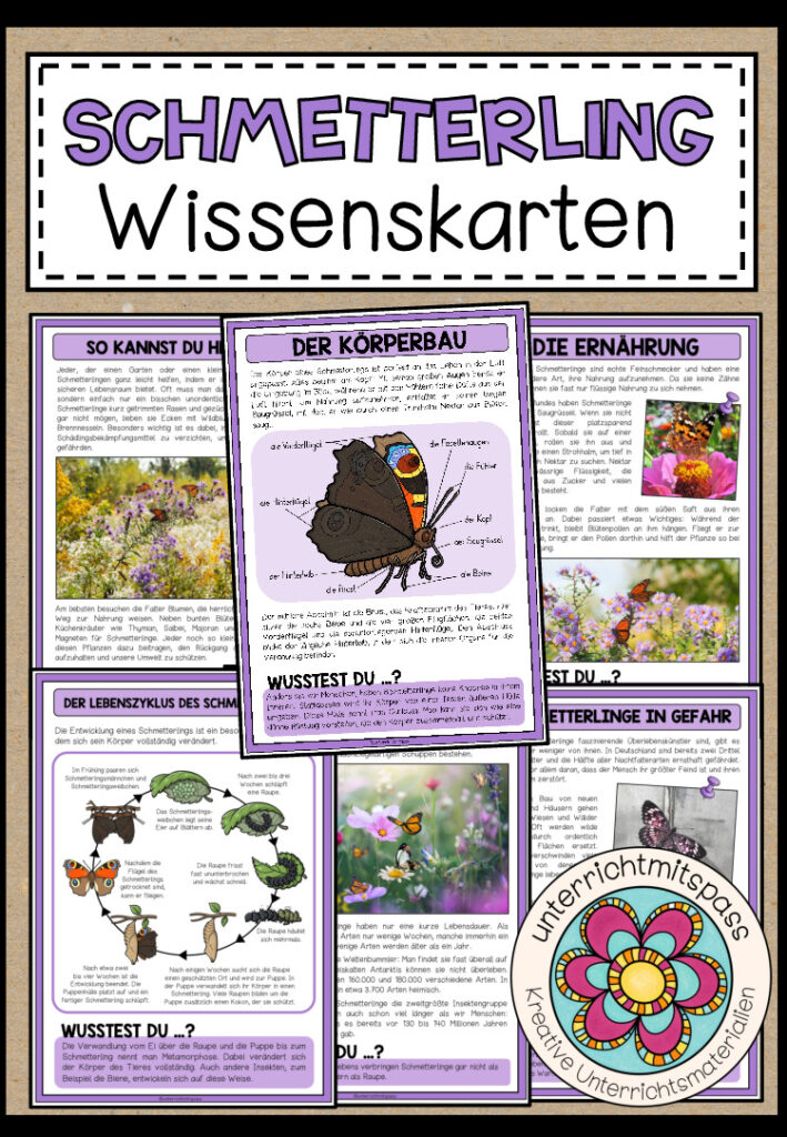 DER SCHMETTERLING – Wissenskarten