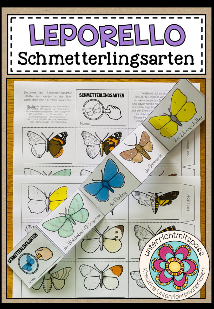 DIE SCHMETTERLINGSARTEN – Faltheft / Leporello