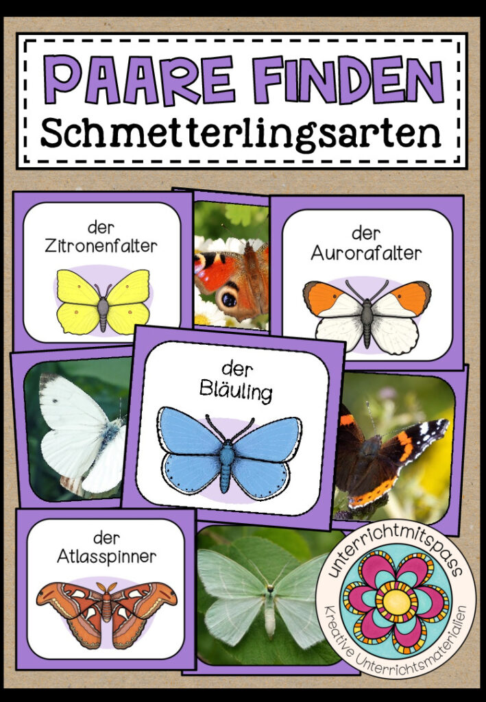 DIE SCHMETTERLINGSARTEN – Paare finden