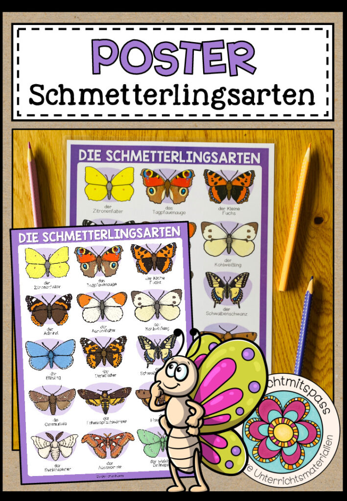 DIE SCHMETTERLINGSARTEN – Poster