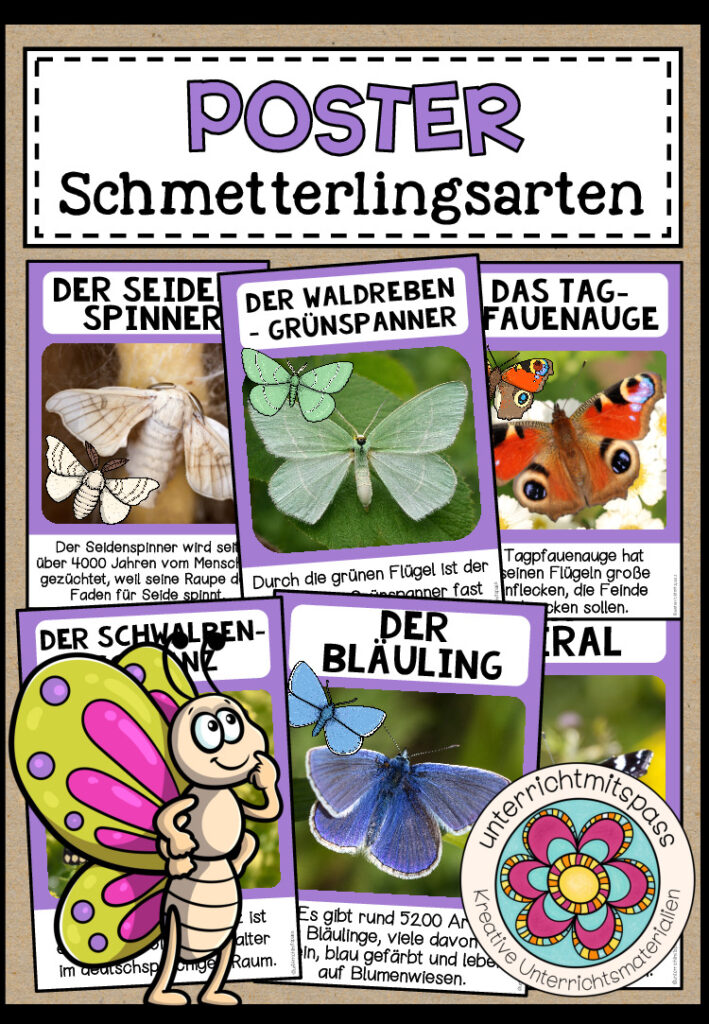 DIE SCHMETTERLINGSARTEN – Poster