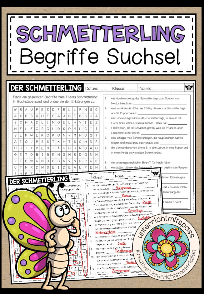 DER SCHMETTERLING – Begriffe Suchsel