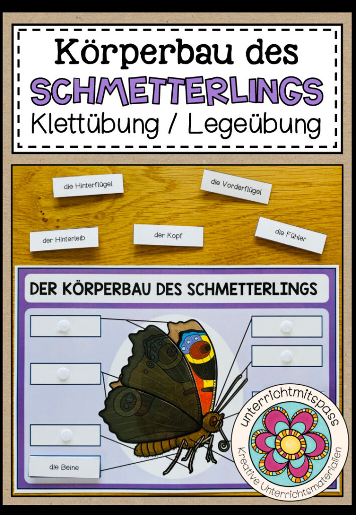 DER KÖRPERBAU DES SCHMETTERLINGS – Klettübung / Legeübung