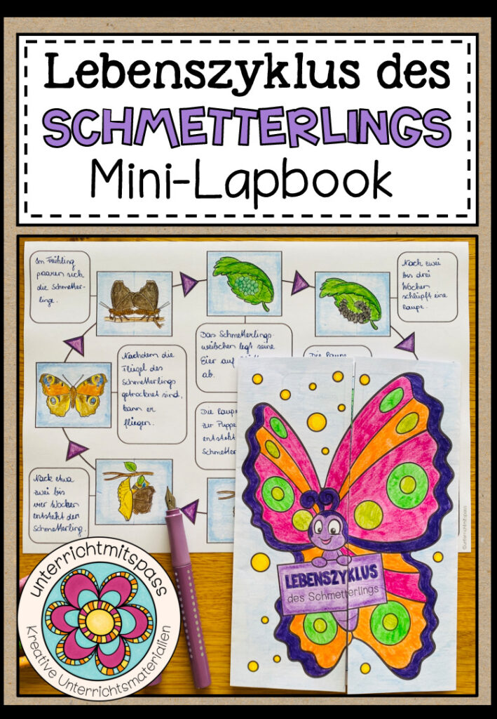 DER LEBENSZYKLUS DES SCHMETTERLINGS – Mini Lapbook