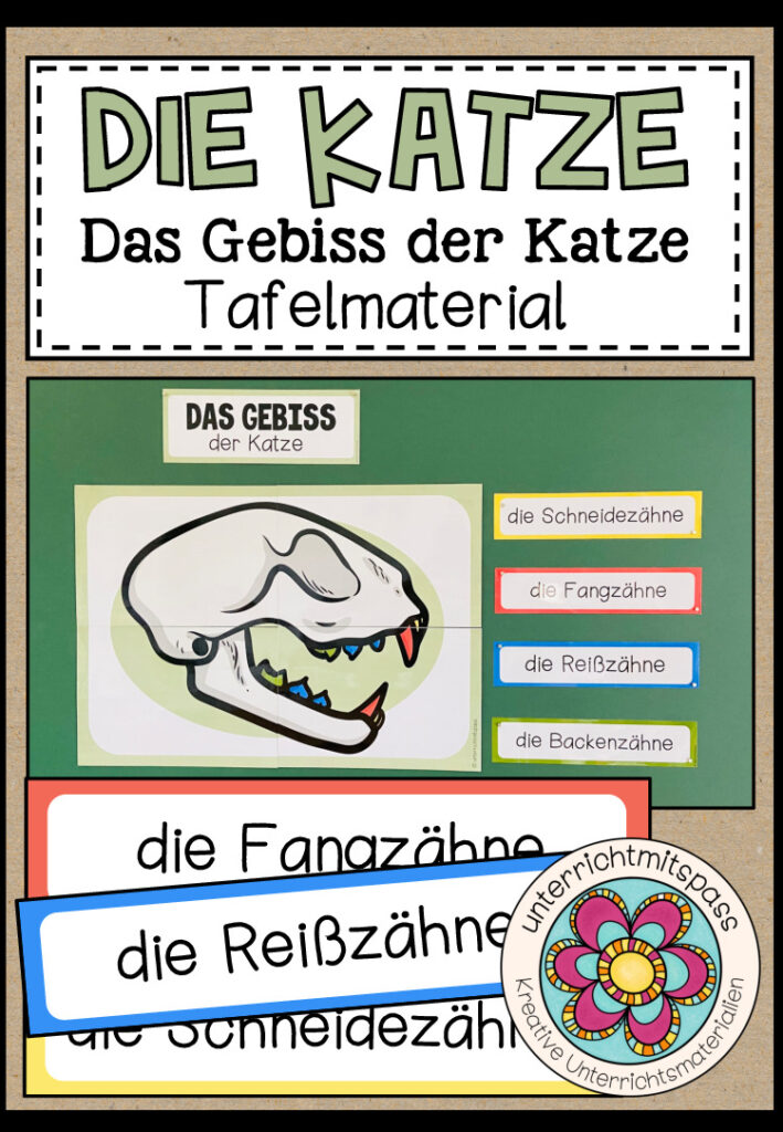 DAS GEBISS DER KATZE – Tafelmaterial