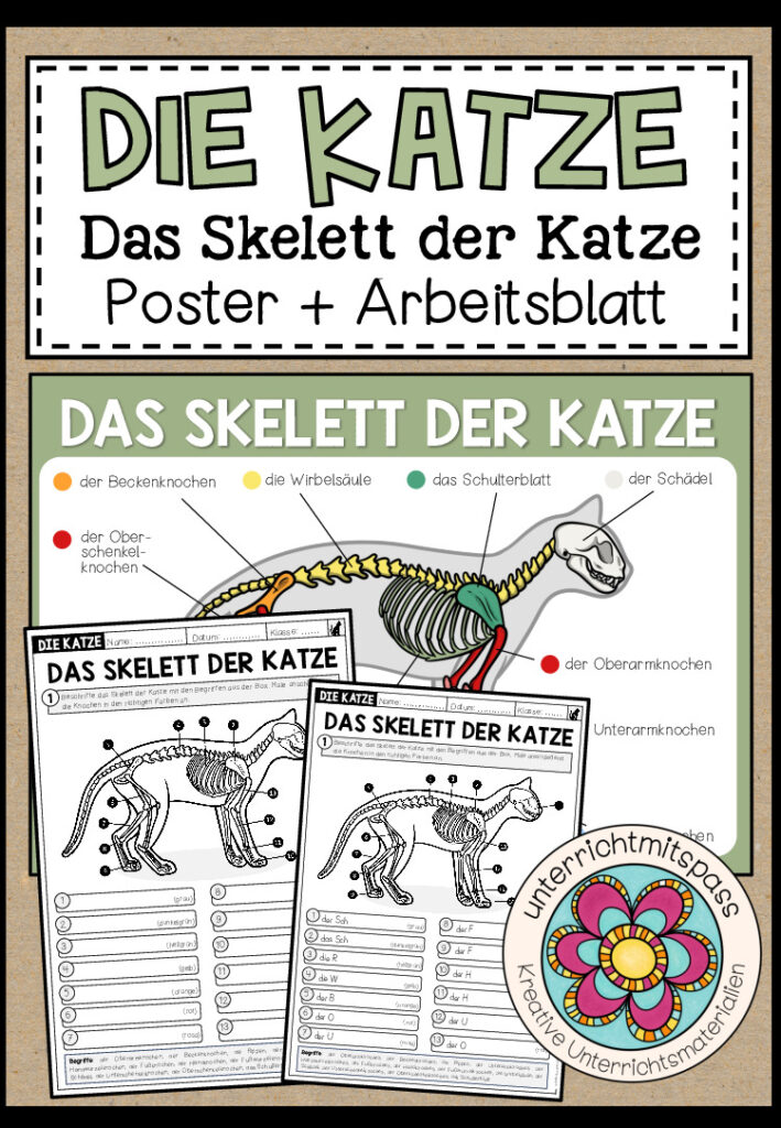 DAS SKELETT DER KATZE – Poster + Arbeitsblatt