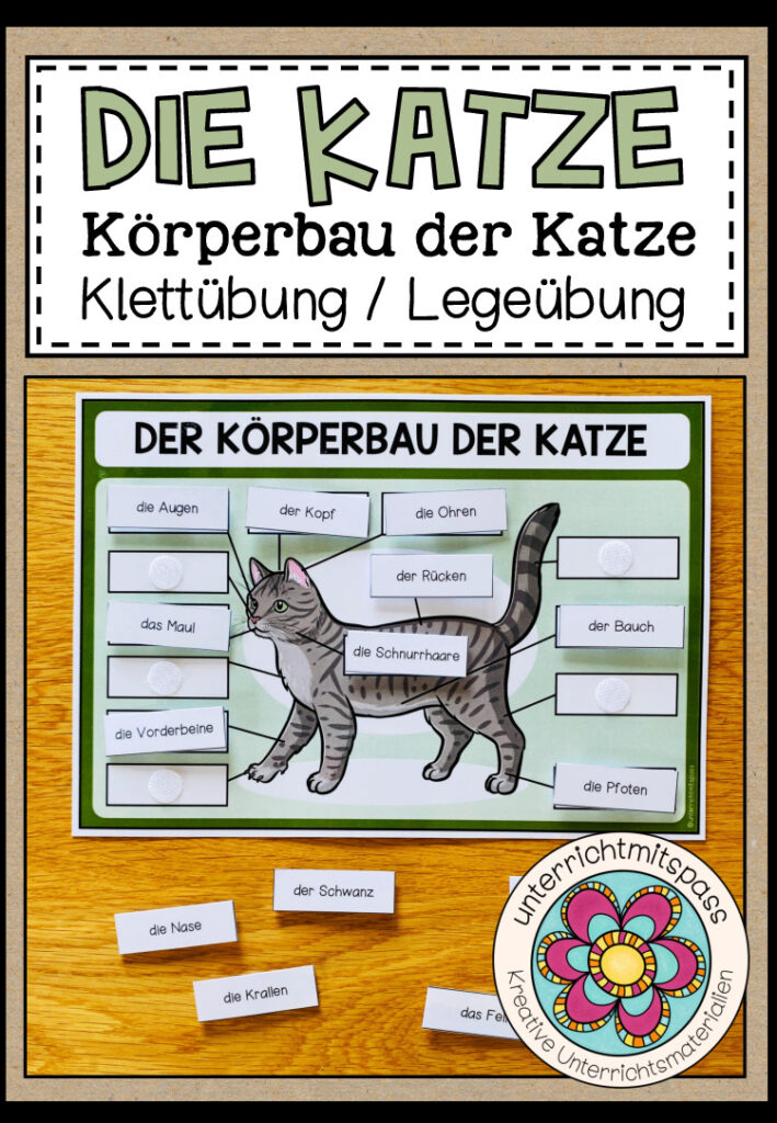 DER KÖRPERBAU DER KATZE – Klettübung / Legeübung
