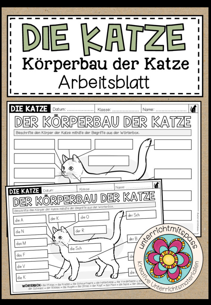 DER KÖRPERBAU DER KATZE – Arbeitsblatt