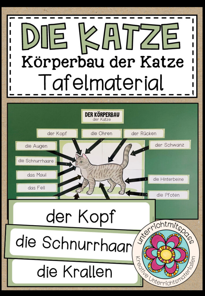 DER KÖRPERBAU DER KATZE – Tafelmaterial