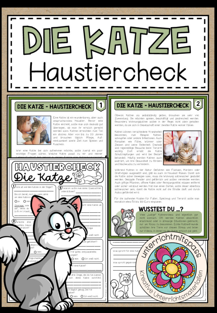 DIE KATZE – Haustiercheck