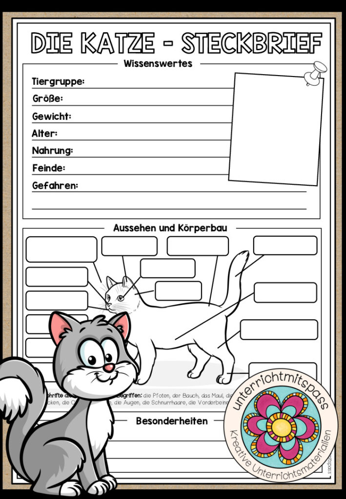 DIE KATZE – Steckbrief