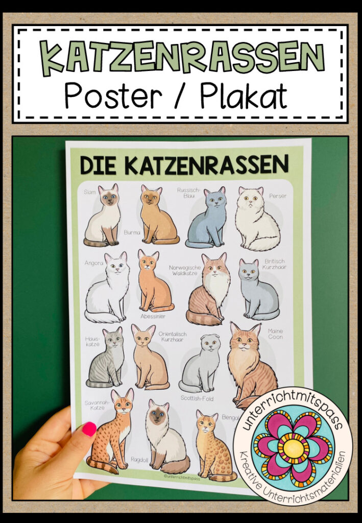 DIE KATZENRASSEN – Poster