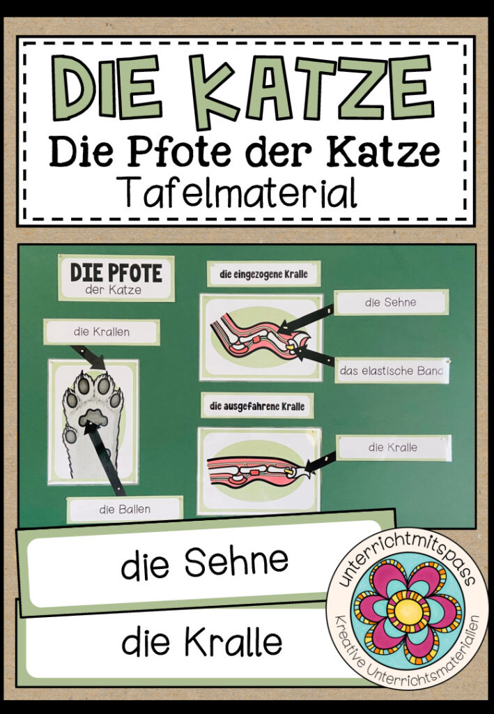 DIE PFOTE DER KATZE – Tafelmaterial