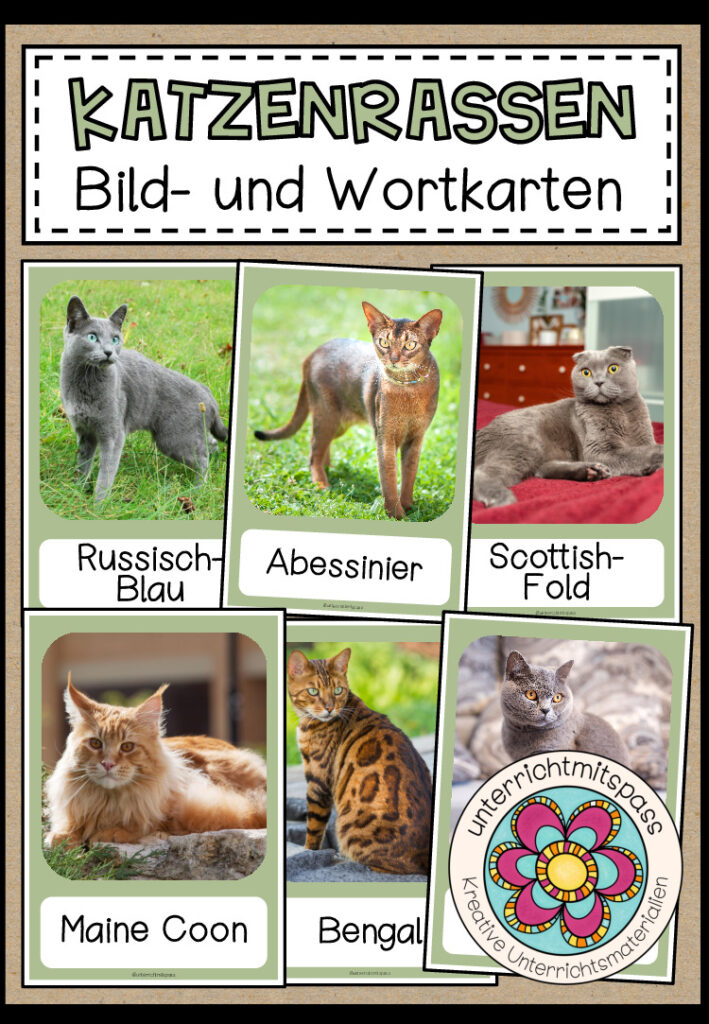 KATZENRASSEN – Bild- und Wortkarten