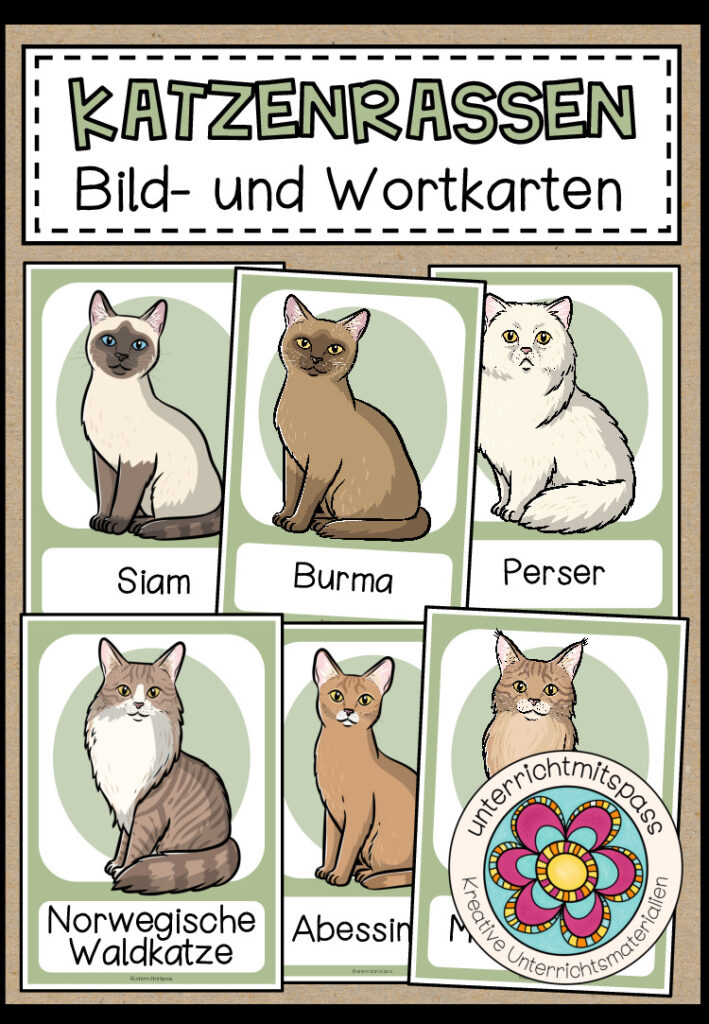 KATZENRASSEN – Bild- und Wortkarten