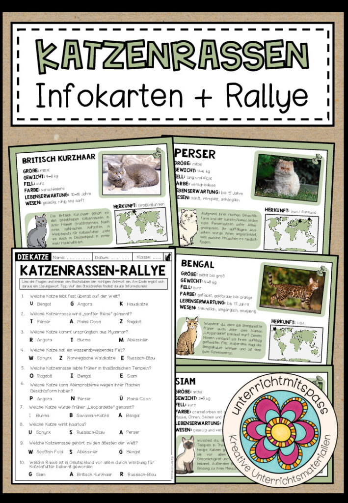 KATZENRASSEN – Infoposter + Rallye (Arbeitsblatt)