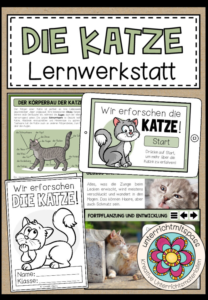 DIE KATZE – Lernwerkstatt