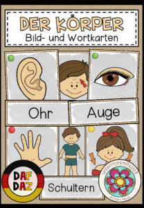 DER KÖRPER – Bild- und Wortkarten (DAF/DAZ)