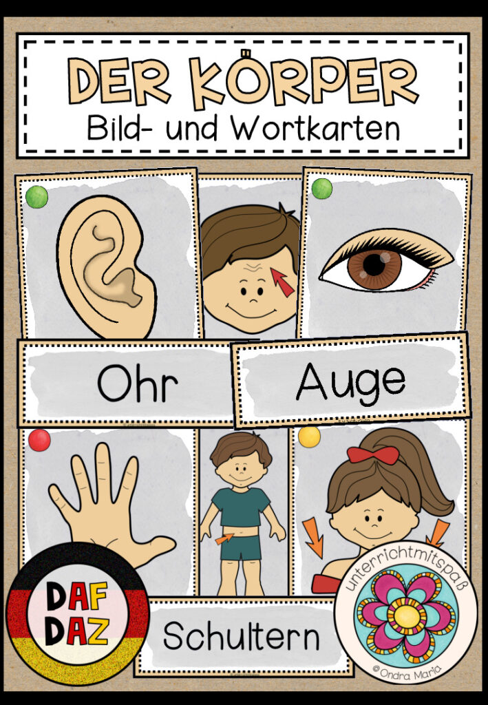 DER KÖRPER – Bild- und Wortkarten (DAF/DAZ)