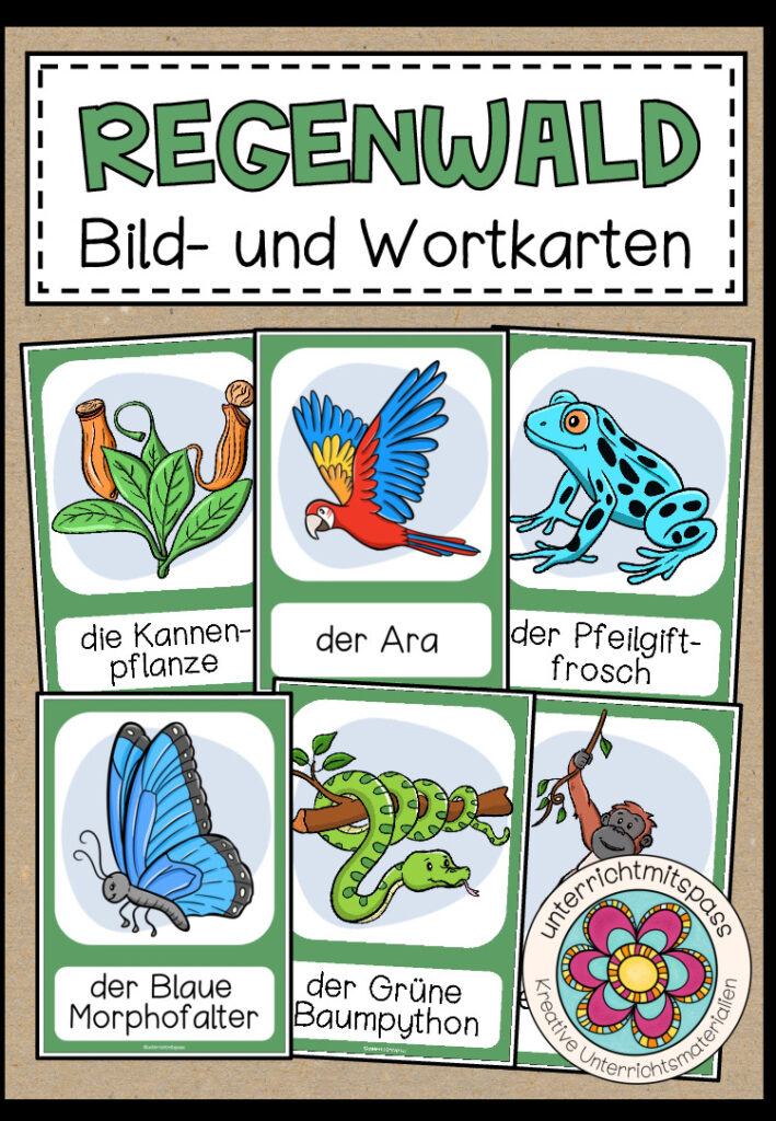 REGENWALD – Bild- und Wortkarten