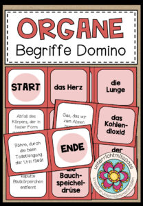 DIE ORGANE – Begriffe Domino