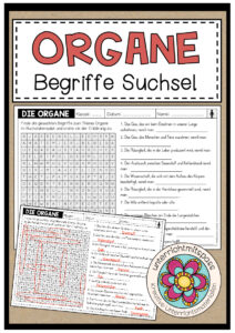 DIE ORGANE – Begriffe Suchsel (Arbeitsblatt)
