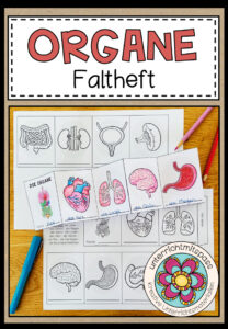 DIE ORGANE – Faltheft/ Leporello