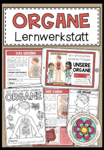 DIE ORGANE – Lernwerkstatt