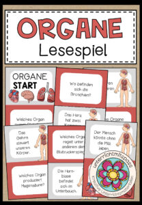 DIE ORGANE – Lesespiel