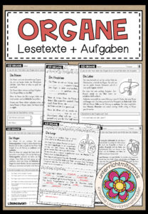 DIE ORGANE – Lesetexte + Aufgaben