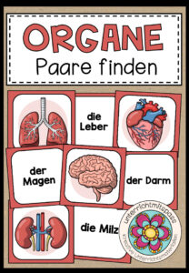 DIE ORGANE – Paare finden