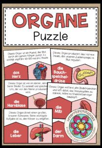 DIE ORGANE – Puzzle