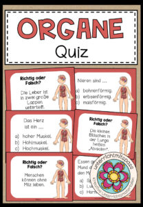 DIE ORGANE – Quiz