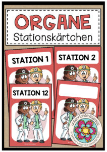 DIE ORGANE – Stationskärtchen