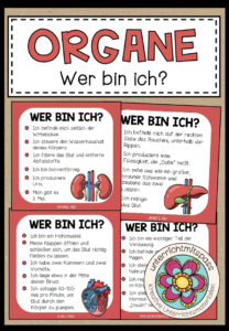 DIE ORGANE – Wer bin ich? (Spiel)