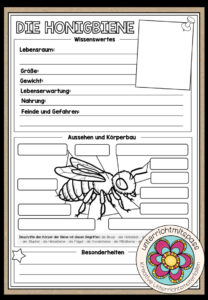 DIE BIENE – Steckbrief