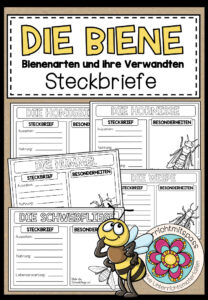 DIE BIENE – Bienenarten und ihre Verwandten (Steckbriefe)