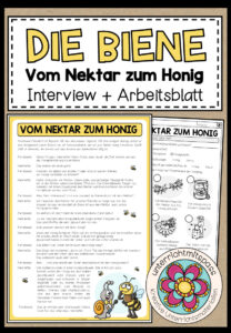 DIE BIENE – Vom Nektar zum Honig (Interview + Arbeitsblatt)