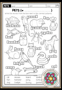PETS – Vocabulary Worksheet