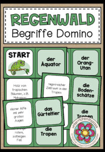 REGENWALD – Begriffe Domino