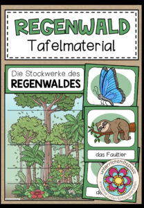 REGENWALD – Tafelmaterial