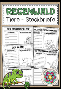 Tiere im Regenwald – Steckbriefe