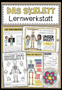 DAS SKELETT – Lernwerkstatt
