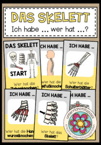 DAS SKELETT – Ich habe … wer hat … ?