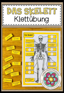 DAS SKELETT – Klettübung / Legeübung