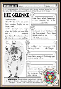 DAS SKELETT – Die Gelenke (Arbeitsblatt)