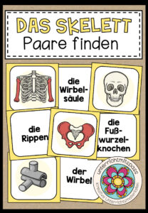 DAS SKELETT – Paare finden